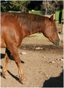 01 - Grand teton NP (28)